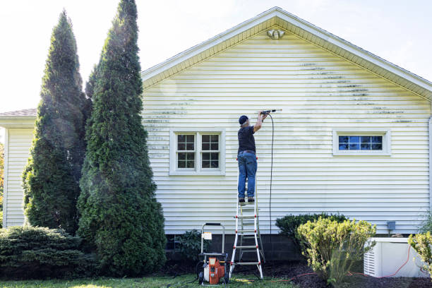 Best Animal Enclosure Cleaning  in Seville, FL
